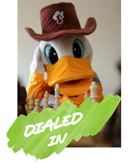 Omezza, 2 to 4 hours