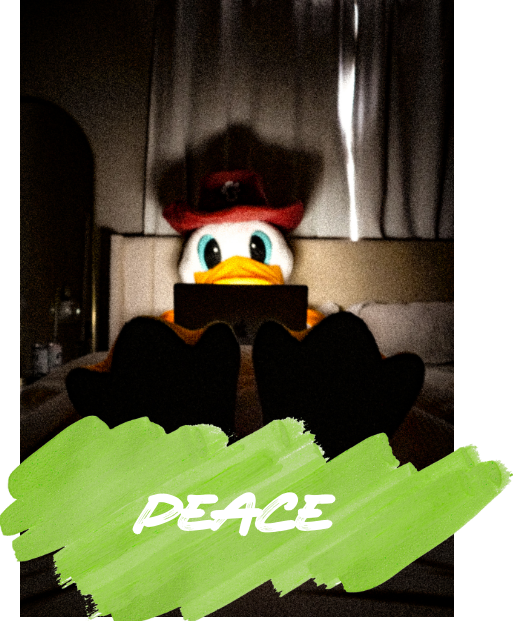 Omezza, 8 to 16 hours